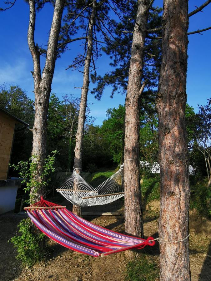 Active Chillax Oasis Apartments Ankaran Exteriör bild